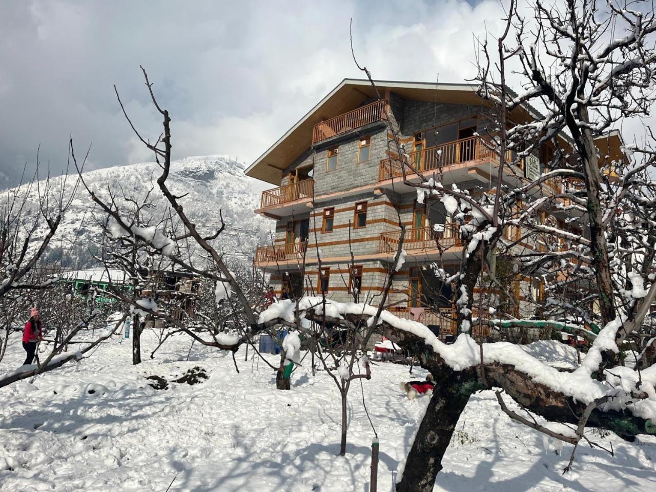 Rohtang Villa - Manali (Himachal Pradesh), Manali
